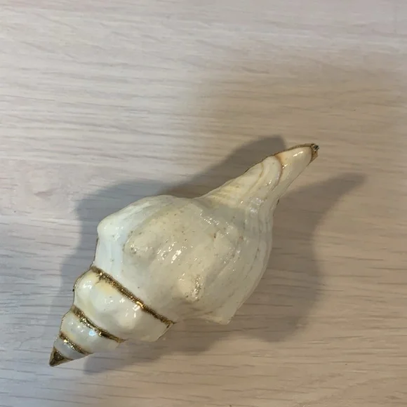 Vintage 1970s Real Shell Belt Buckle Ivory & Gold Nautical Coastal Beach Vibe - Picture 15 of 17